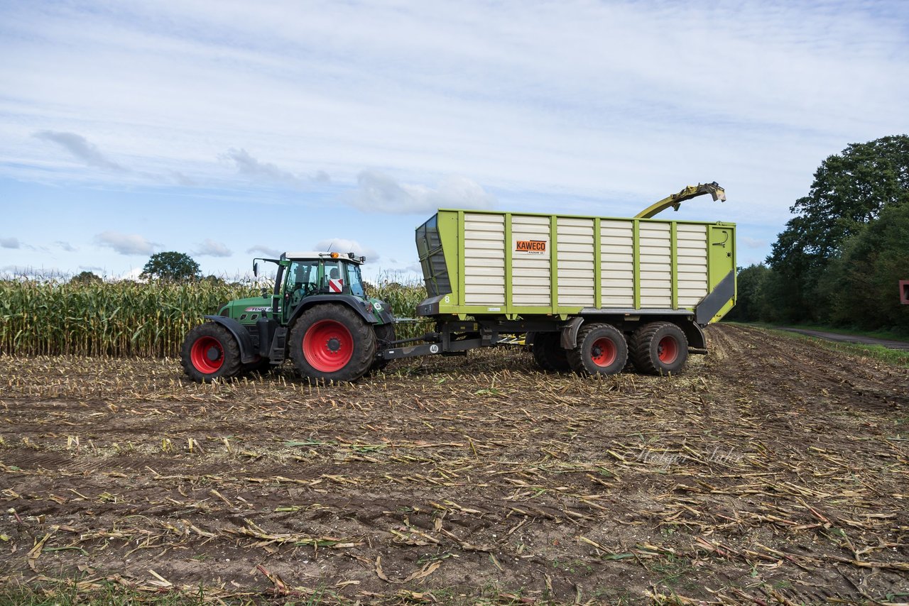 Bild 103 - Maisernte